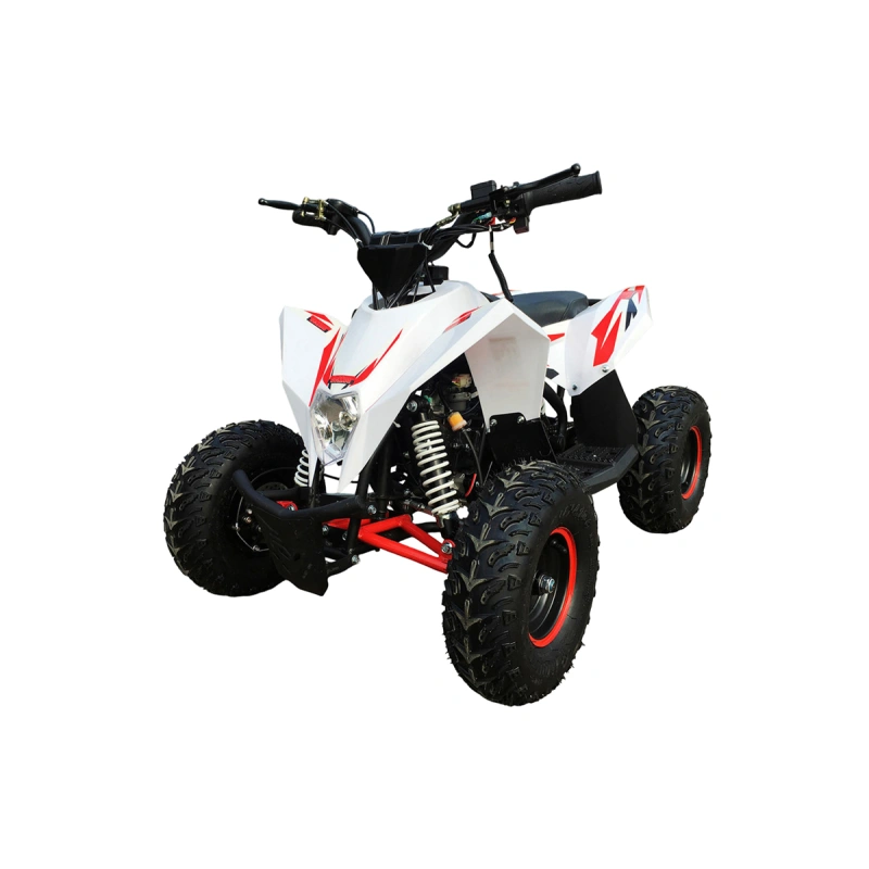 Квадроцикл MOTAX Gekkon 90cc