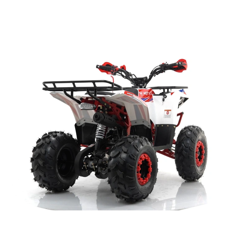 Квадроцикл MOTAX Grizlik A125