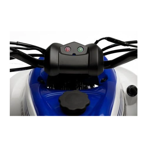 Квадроцикл YAMAHA YFM90R (Raptor 90)