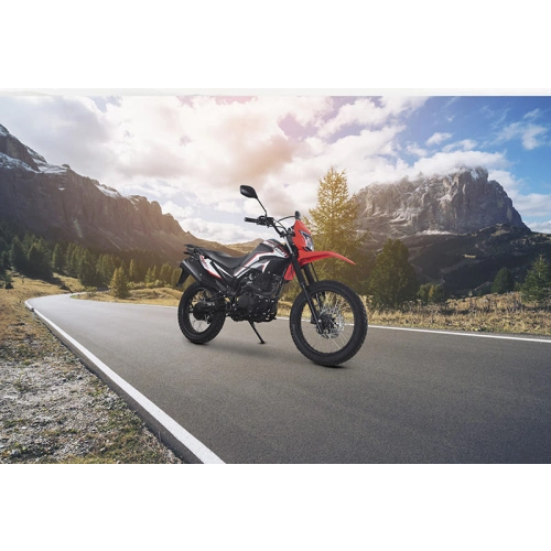 Мотоцикл LIFAN LF250GY-4D ТУРЭНДУРО