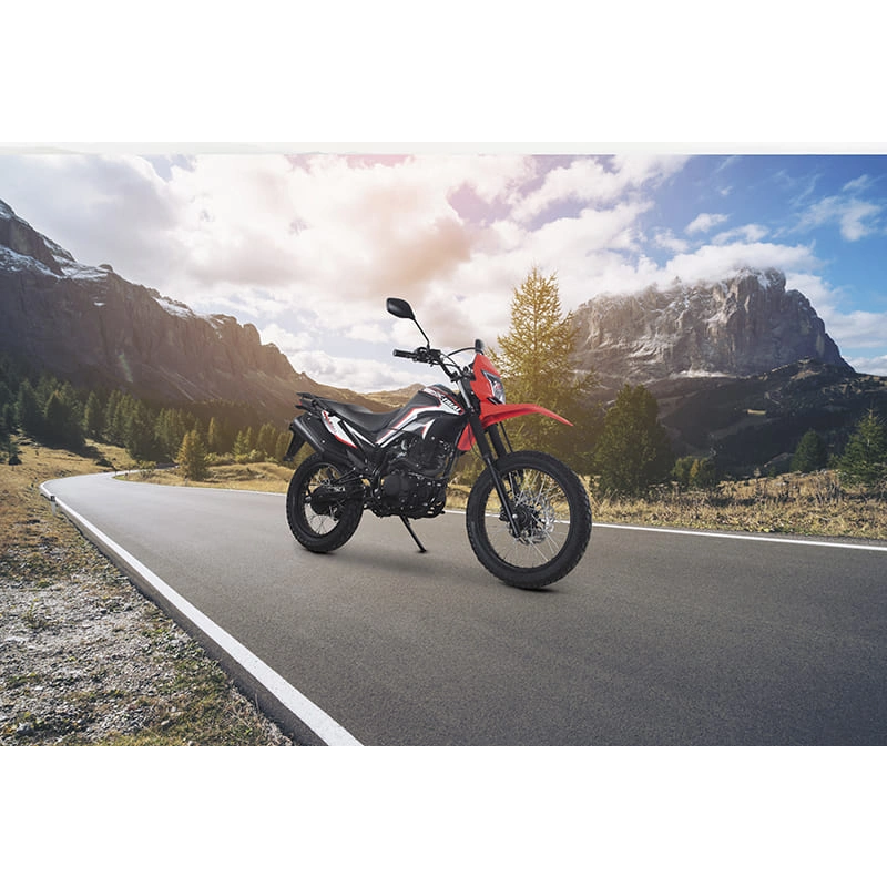 Мотоцикл LIFAN LF250GY-4D ТУРЭНДУРО