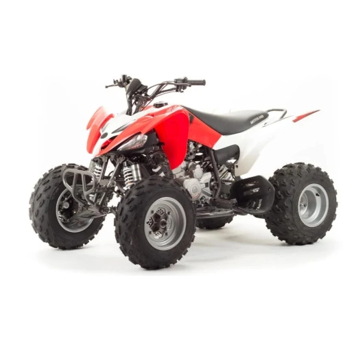 Квадроцикл MOTOLAND 125S (2020 Г.)