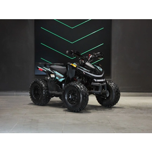 Квадроцикл SHARMAX Cross 180 RX