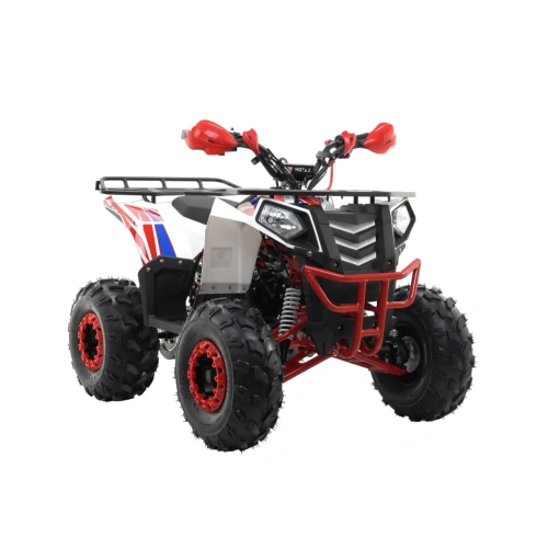 Квадроцикл MOTAX Grizlik A125