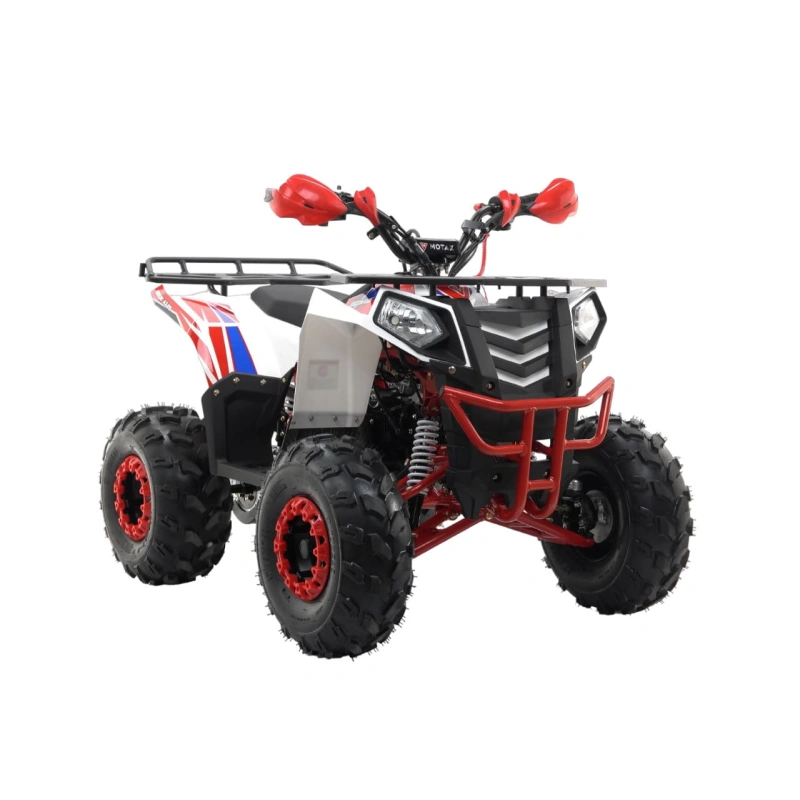 Квадроцикл MOTAX Grizlik A125