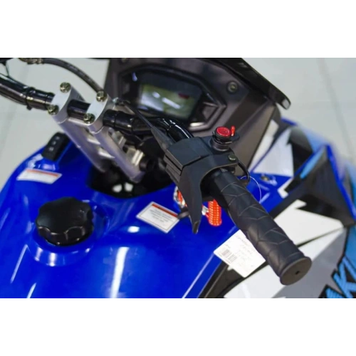 Снегоход ATAKI WD 250