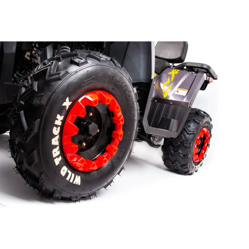 Квадроцикл MOTOLAND 200 Wild Track X Pro (2022)