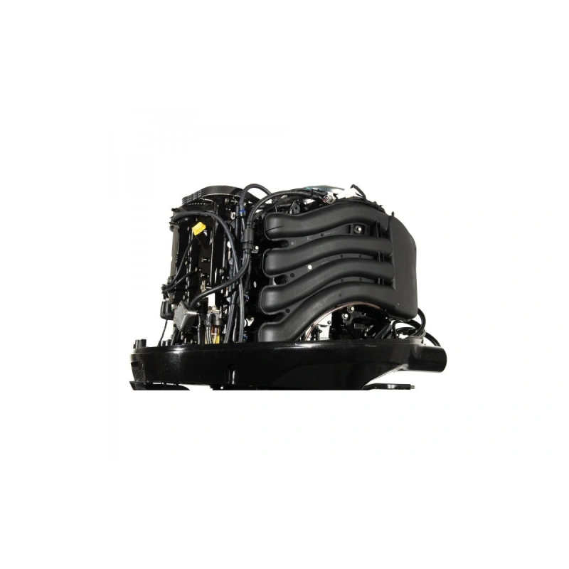 4х-тактный лодочный мотор GOLFSTREAM F100FEL-T EFI