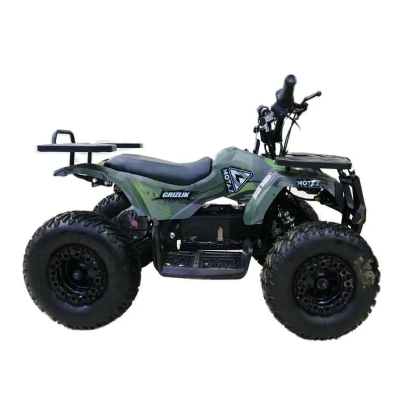 Электроквадроцикл MOTAX Grizlik X16 New E1000