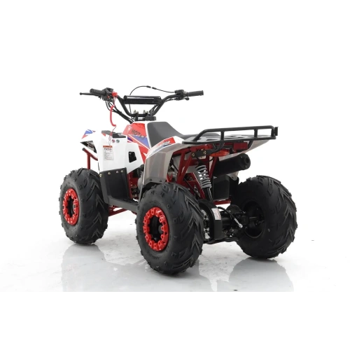 Квадроцикл MOTAX Grizlik A110