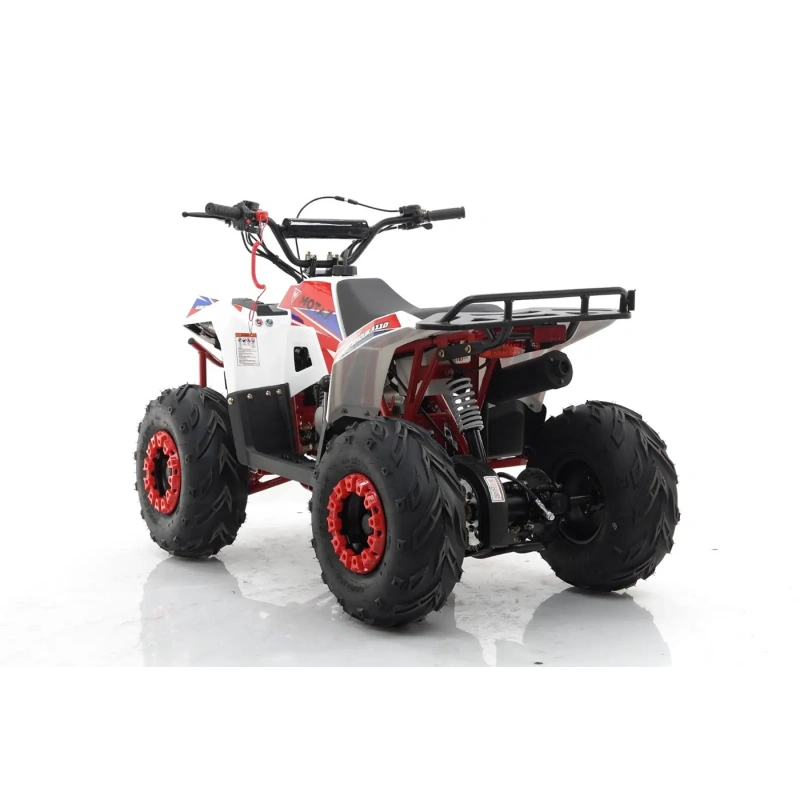 Квадроцикл MOTAX Grizlik A110