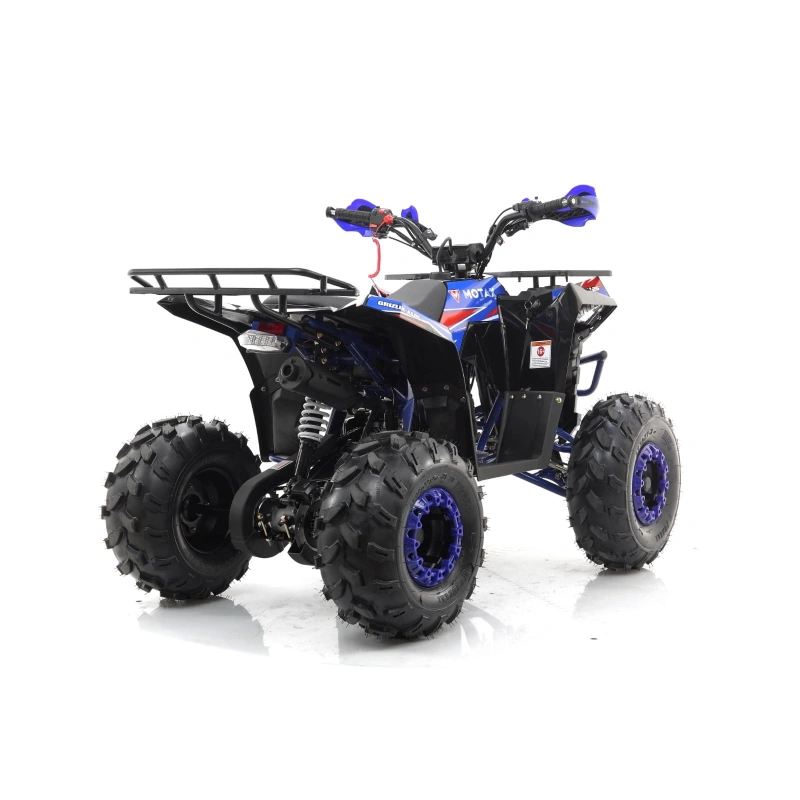 Квадроцикл MOTAX Grizlik A125