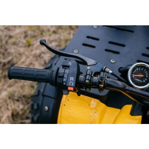 Квадроцикл TIGER Max Grade 300