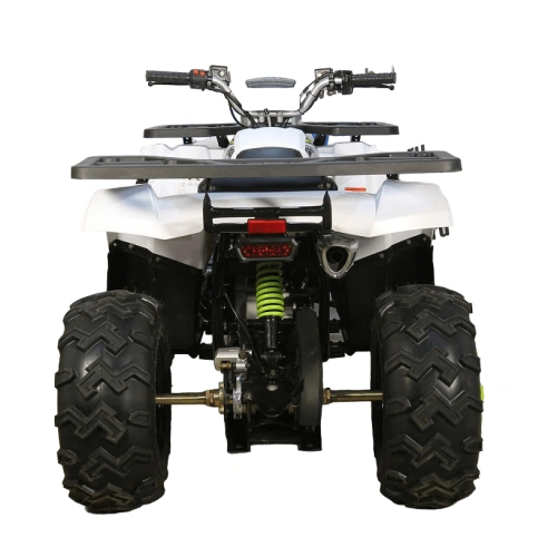 Квадроцикл AVANTIS H200 NEW (Баланс. вал)
