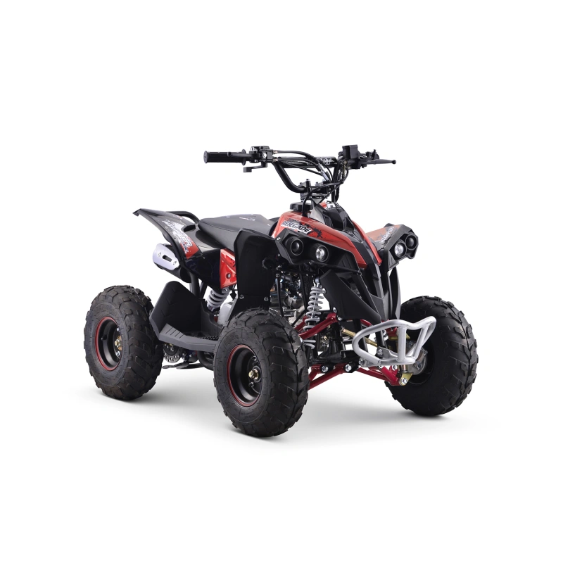 Квадроцикл YACOTA Renegade Mini