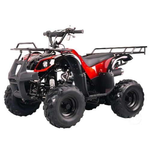 Квадроцикл BISON Spider 110 red