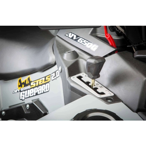 Квадроцикл STELS ATV Guepard 650 TЕ (Trophy) 2.0 (ПСМ)