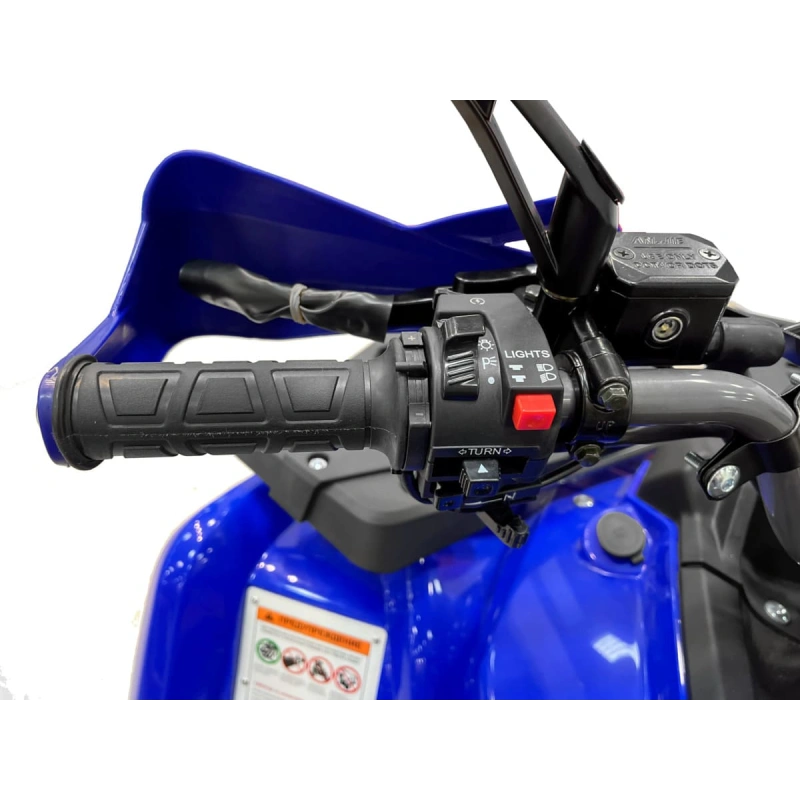 Квадроцикл MOTAX Grizlik 200 ULTRA BIG