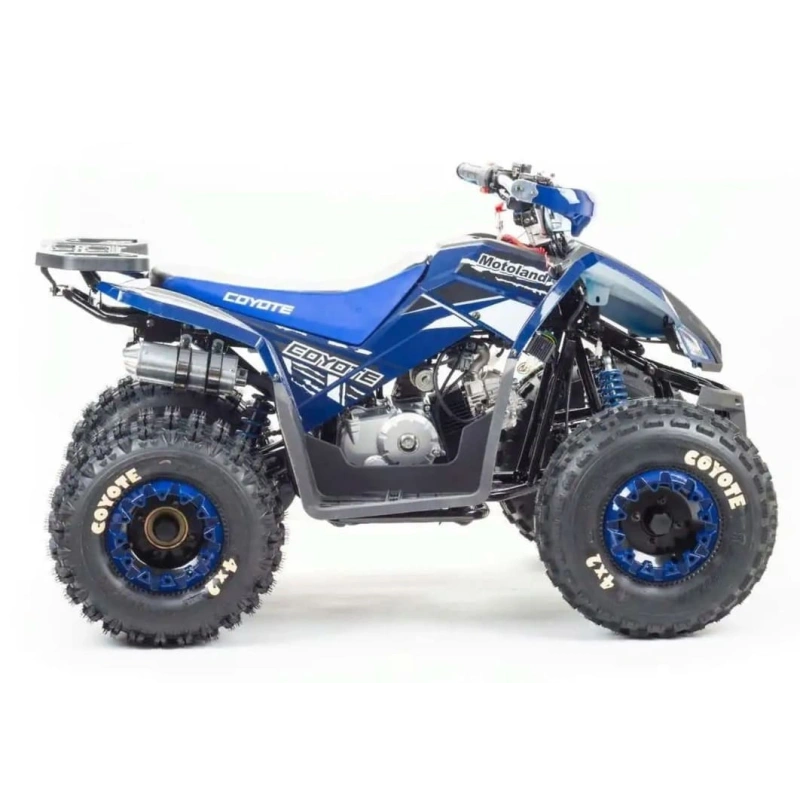 Квадроцикл MOTOLAND 125 Coyote (2021 Г.)