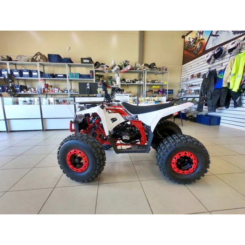 Квадроцикл ATV Commander 2 Cross