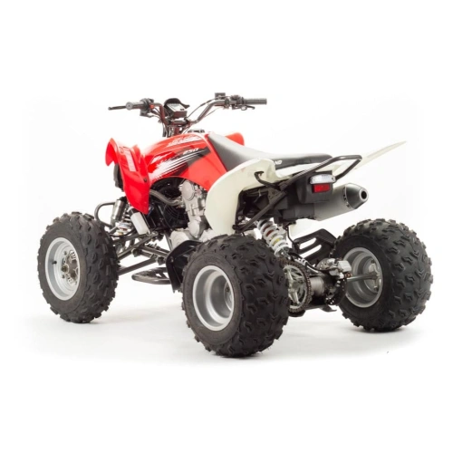 Квадроцикл MOTOLAND 125S (2020 Г.)