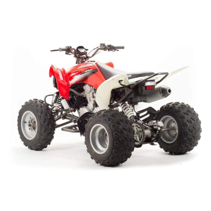Квадроцикл MOTOLAND 125S (2020 Г.)