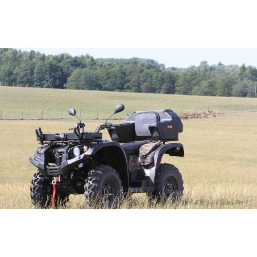 Квадроцикл BALTMOTORS Striker 700 EFI (ПСМ)