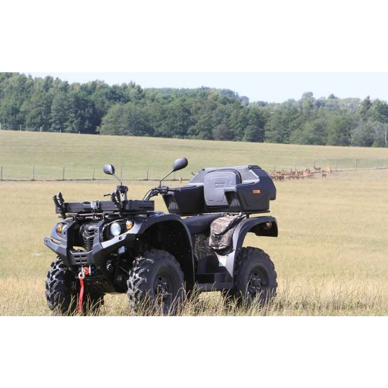 Квадроцикл BALTMOTORS Striker 700 EFI (ПСМ)