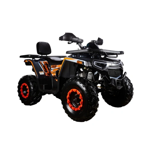Квадроцикл AVANTIS H250 Big New Basic