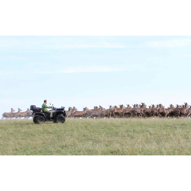 Квадроцикл BALTMOTORS Striker 700 EFI (ПСМ)