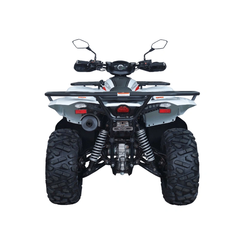 Квадроцикл ACCESS AMX600 Long Base (ПСМ)