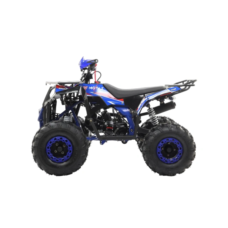 Квадроцикл MOTAX Grizlik A125