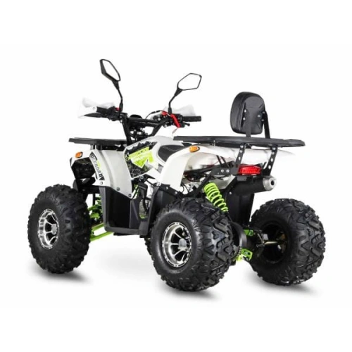 Квадроцикл GRIZZLY Aerox 125