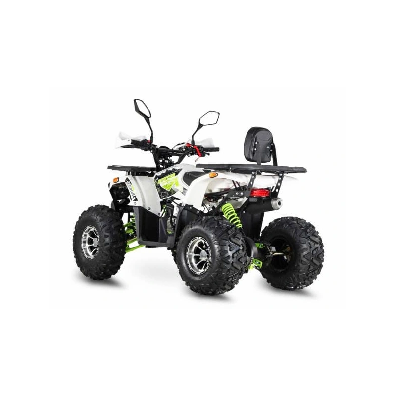 Квадроцикл GRIZZLY Aerox 125