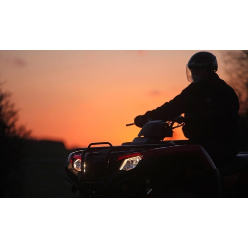 Квадроцикл HONDA TRX420