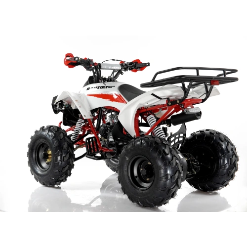 Квадроцикл MOTAX ATV Raptor Super LUX 125 cc