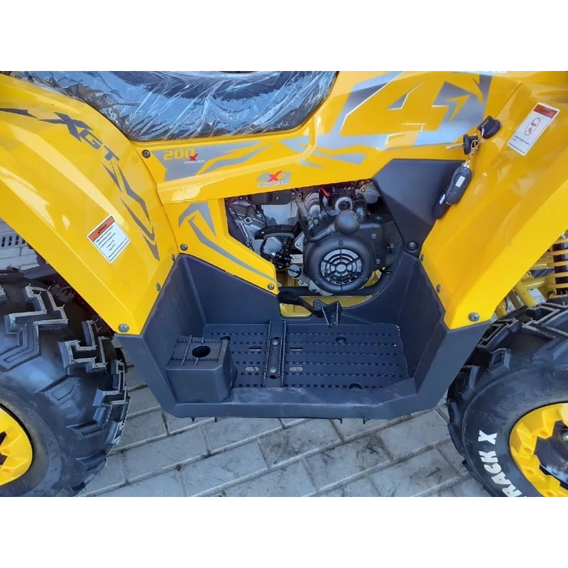 Квадроцикл MOTOLAND ATV 200 Wild Track