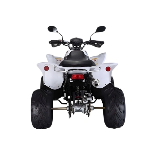 Квадроцикл RATO RТ250SТ-2
