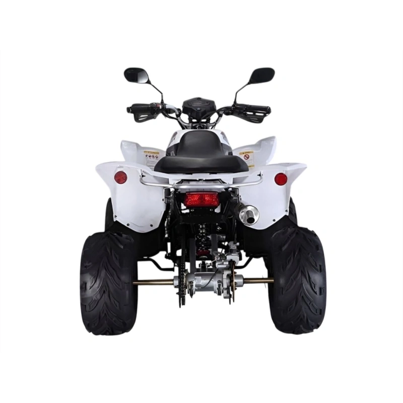 Квадроцикл RATO RТ250SТ-2