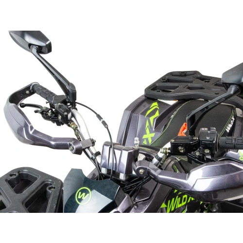 Квадроцикл MOTOLAND 125 Wild X Pro