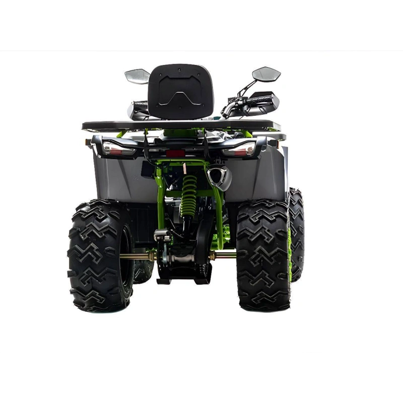 Квадроцикл MOTOLAND 200 Wild Track X Winch
