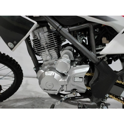 Питбайк REGULMOTO Allroad (CG150-A 162FML) 19/16 ENDURO