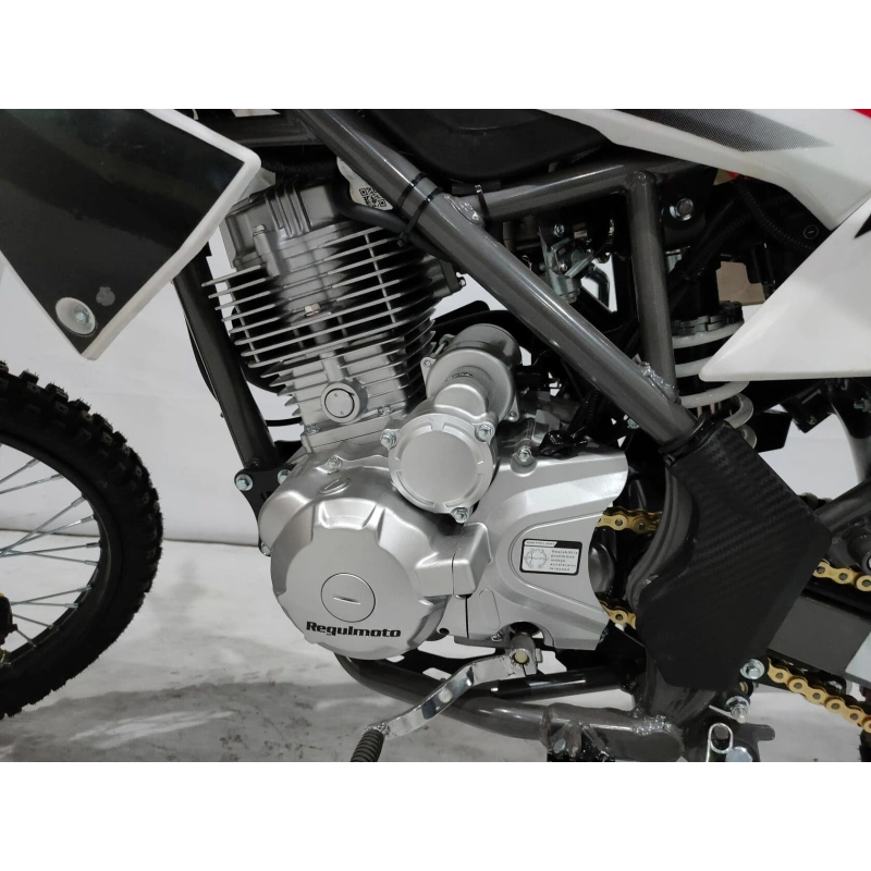 Питбайк REGULMOTO Allroad (CG150-A 162FML) 19/16 ENDURO