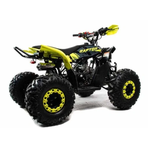 Квадроцикл MOTOLAND 125 Raptor