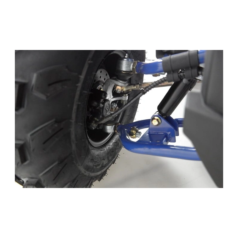 Квадроцикл WELS Thunder Evo