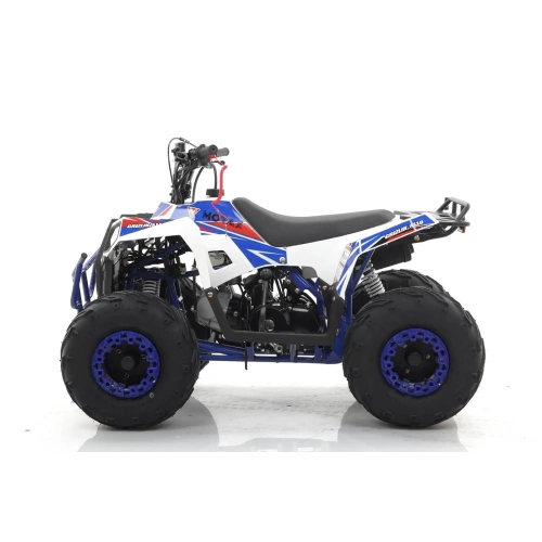 Квадроцикл MOTAX Grizlik A110
