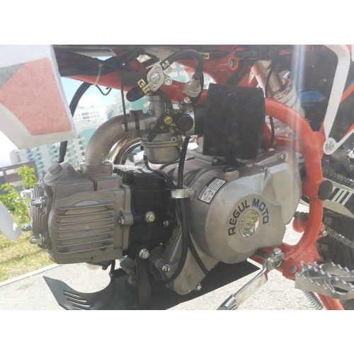 Питбайк REGULMOTO Pilot 110EA 12/10