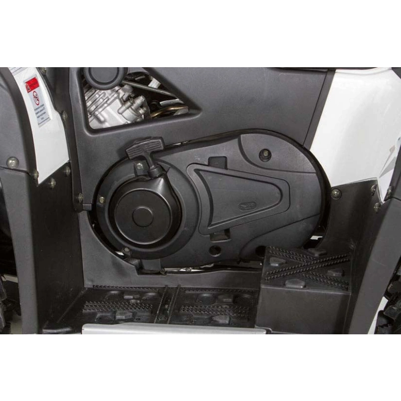 Квадроцикл BALTMOTORS Striker 700 EFI (ПСМ)