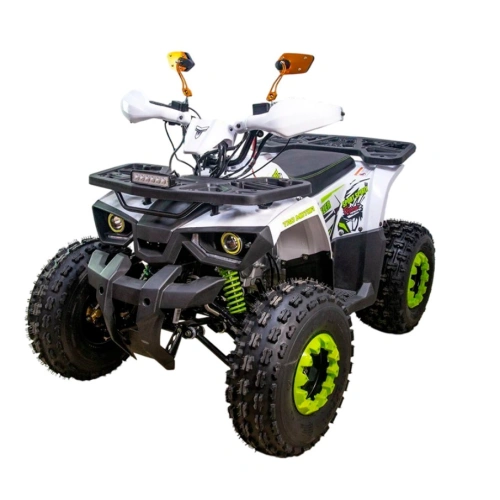 Квадроцикл GAOBO Kids 125 LD