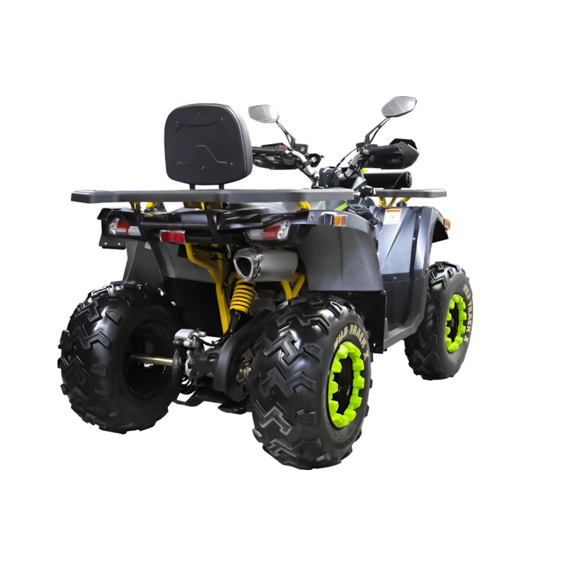 Квадроцикл MOTOLAND 200 Wild Track X Winch